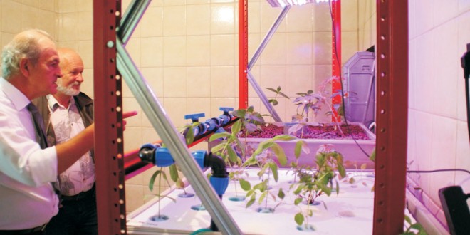 Un sistem de cultură aquaponics a fost dat în folosinţă la Liceul „Venczel Jozsef” din Miercurea-Ciuc