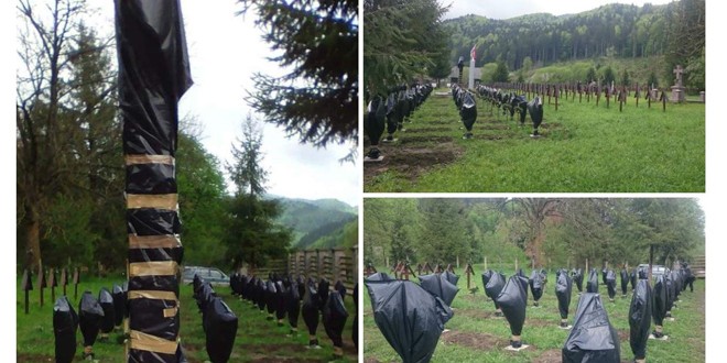 Pungi de gunoi pe crucile eroilor români din cimitirul de la Valea Uzului