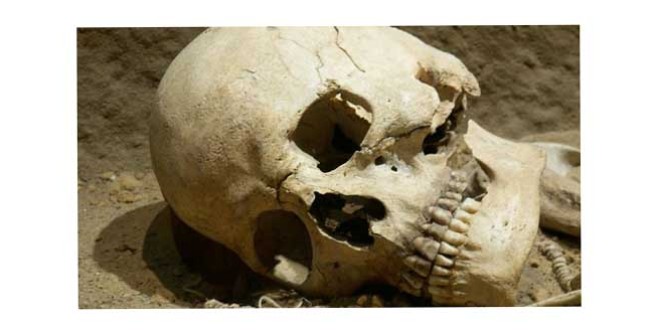 Descoperire macabră la Bălan: o femeie a găsit un craniu uman într-o pădure din apropierea localităţii