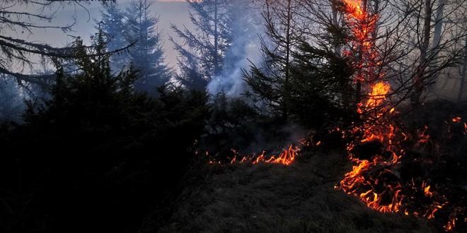 Gheorgheni: După aproape 20 de ore, incendiul de vegetaţie uscată de pe o păşune împădurită a fost lichidat