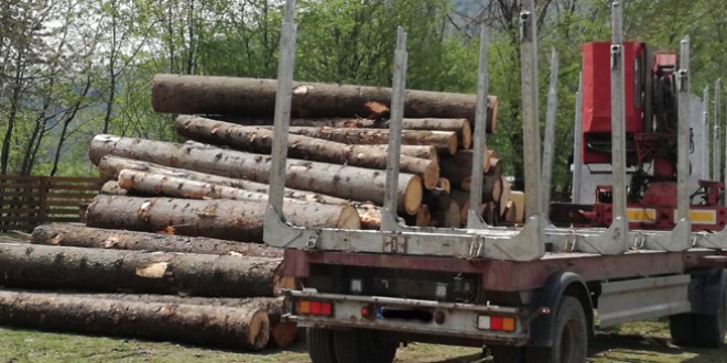 <h5><i>Din analiza pazei pădurilor pe 2021 a Direcţiei Silvice Harghita:</i></h5>Volumul total al materialului lemnos tăiat ilegal, în uşoară creştere faţă de anul anterior
