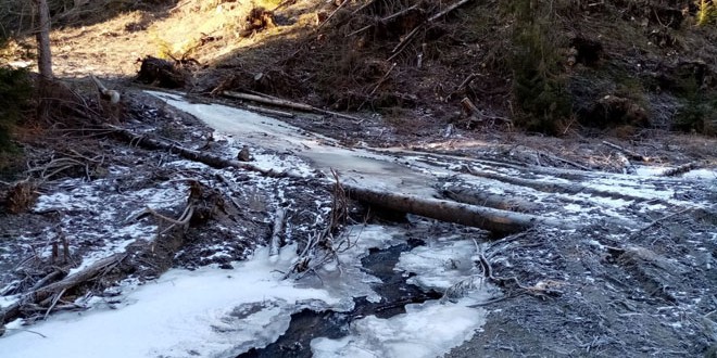 Doi operatori economici sancţionaţi pentru exploatarea de masă lemnoasă prin albia pârâului Belchia din zona Gheorgheni