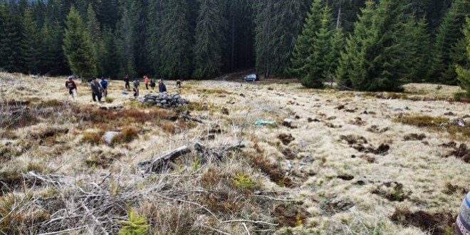 Campania de împăduriri de primăvară este în plină desfăşurare pe suprafeţele forestiere administrate de Direcţia Silvică Harghita