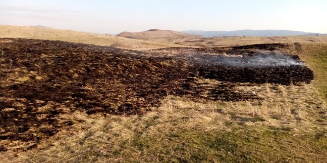 Comisarii de mediu harghiteni atrag atenţia că incendierea terenurilor agricole sau pajiştilor este ilegală