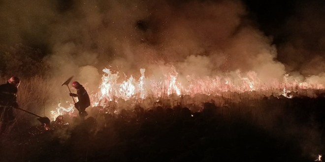 Incendiu în Suseni: arde aproximativ 1,5 hectare de vegetație uscată (imagini video)