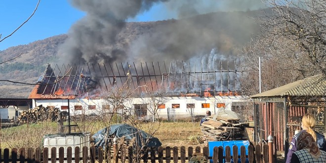 Incendiu la un atelier de prelucrare a lemnului din Brădești (Imagini video)