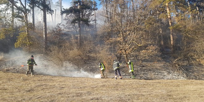 Peste 5 hectare de vegetație și litieră au fost cuprinse de flăcări