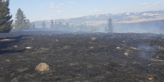 Intervenție a pompierilor pentru stingerea unui incendiu de vegetație uscată într-o zonă greu accesibilă de pe raza comunei Gălăuțaș