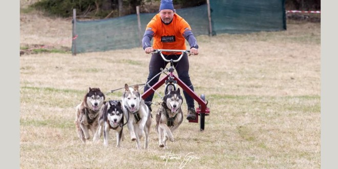 În weekend a avut loc a doua ediţie a concursului de atelaje canine de la Topliţa