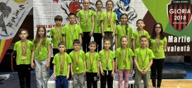 Taekwondo: Ciucani, pe podium la Cupa Bistriţei