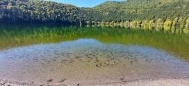 Apel pentru implicarea Ministerului Mediului în salvarea Lacului Sfânta Ana