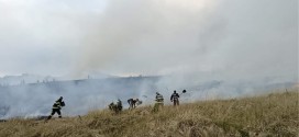 <h5><i>Toplița</i></h5>Aproximativ 20 de hectare de teren au fost cuprinse de flăcări