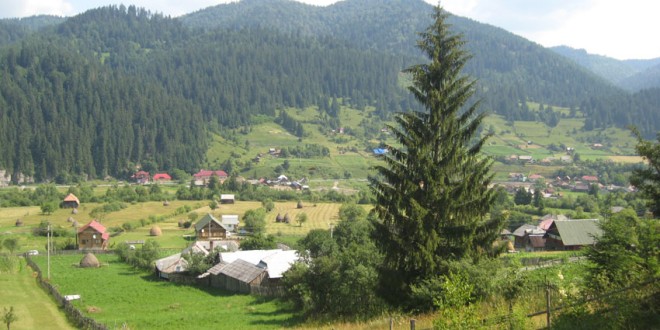 Protejat: Transilvania furată: Caracatiţa verde îşi extinde tentaculele în centrul României (I)