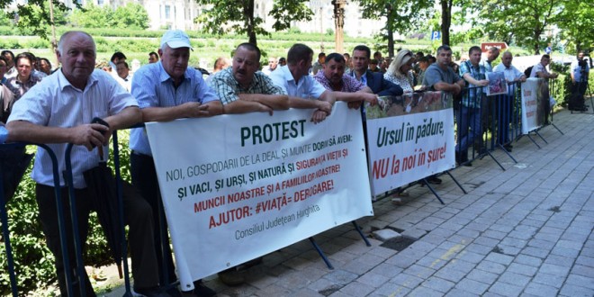 După protestul de la Bucureşti, Ministerul Mediului propune recoltarea sau capturarea a 140 de urşi
