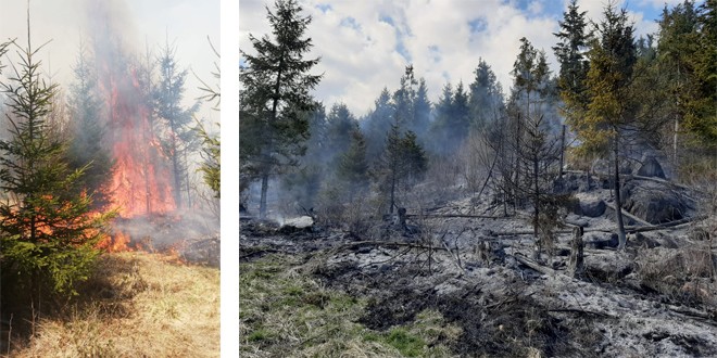 La sfârşitul săptămânii trecute: 31 de intervenţii ale pompierilor militari, din care şase incendii de vegetaţie uscată
