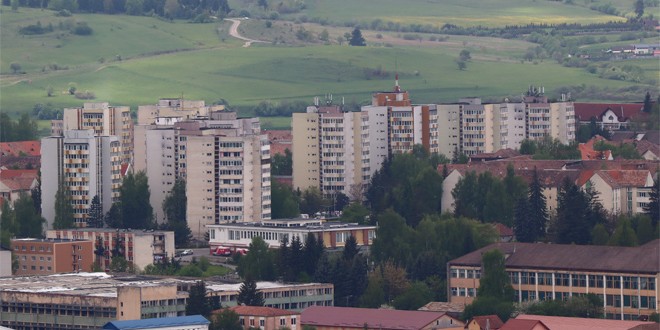 Urşi în zona municipiului Miercurea-Ciuc