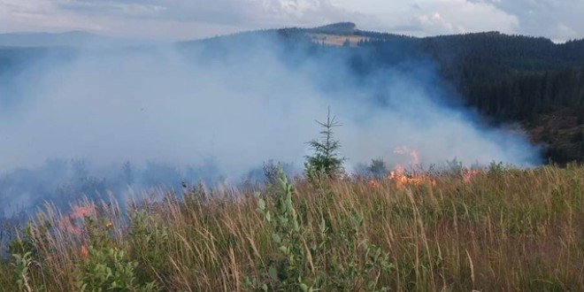 Lichidarea ultimelor focare ale incendiului de la Subcetate a continuat și astăzi