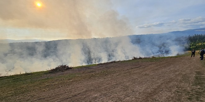 <h5><i>Toplița</i></h5>Incendiu de vegetație pe o suprafață de aproximativ două hectare (imagini video)