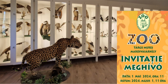 Aproape 200 de animale preparate vor fi expuse în cadrul unei expoziţii cu caracter permanent la Grădina Zoologică din Tg. Mureş