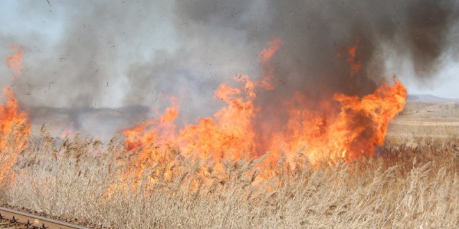 10 incendii de vegetaţie uscată în trei zile