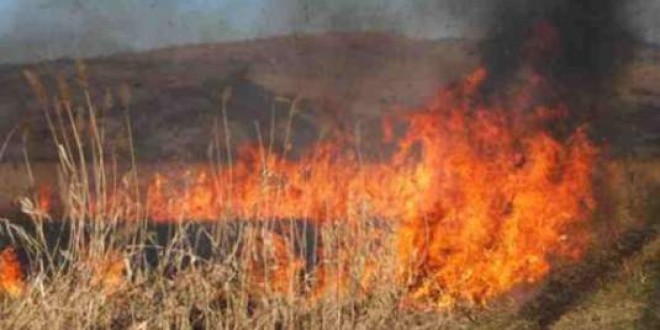 Primarii din judeţ, atenţionaţi de subprefect să ia măsurile legale pentru prevenirea incendiilor de vegetaţie uscată în perioada caniculară