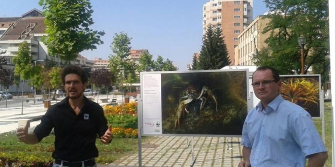 Până pe 31 august: Expoziţia Delta Dunării, la Miercurea-Ciuc
