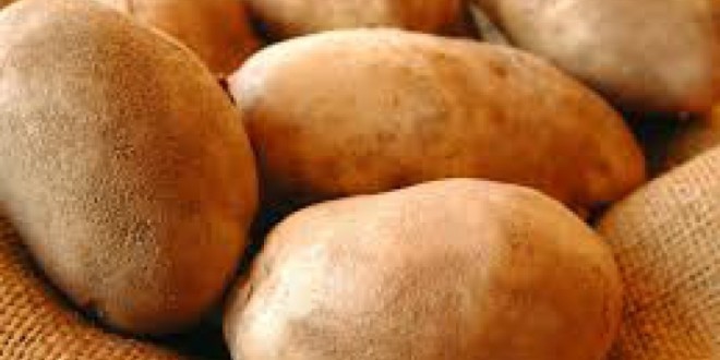 Cartoful de Harghita: Producţie record şi preţuri mici la producători