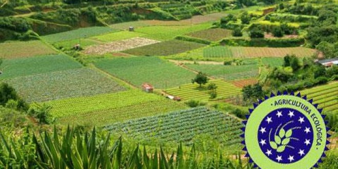Harghita: În sistemul agriculturii ecologice sunt înregistraţi 250 de producători