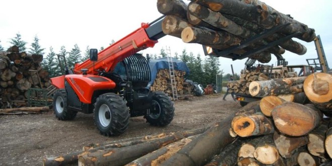 Direcţia Silvică a vândut aproximativ 80% din cantitatea de masă lemnoasă aprobată pentru 2015