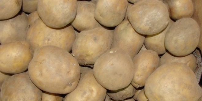 Cel mai mic preţ al cartofului în Harghita, din ultimii 20 de ani
