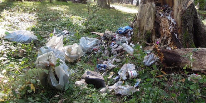 Acţiune de colectare a deşeurilor la Harghita-Băi