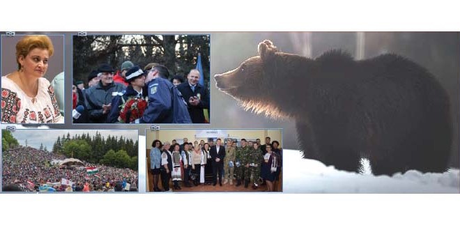 RETROSPECTIVĂ Harghita: 2018 – Noi atacuri ale urşilor şi o lege pentru despăgubirea victimelor acestora
