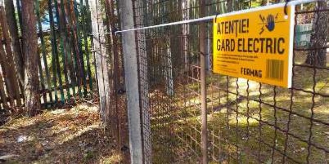 Gard electric montat în jurul Spitalului Judeţean de Urgenţă din Miercurea Ciuc pentru a ţine urşii la distanţă