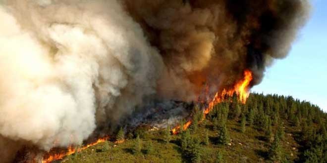 Apel pentru prevenirea incendiilor de pădure