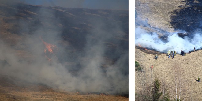 Ieri după amiază: Cinci incendii de vegetație uscată