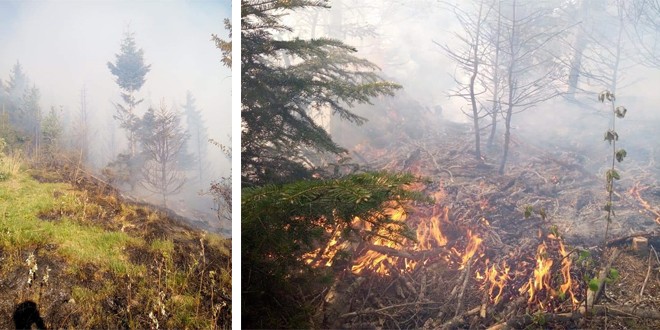 Pompierii din Gheorgheni acționează și acum să stingă un incendiu de vegetație care a izbucnit ieri după amiază
