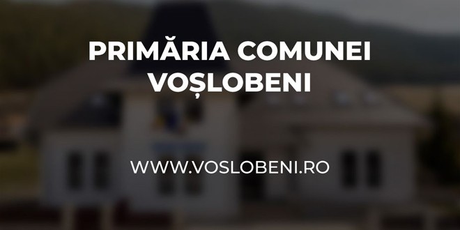 Primăria comunei Voşlăbeni vine în ajutorul cetăţenilor cu servicii publice online