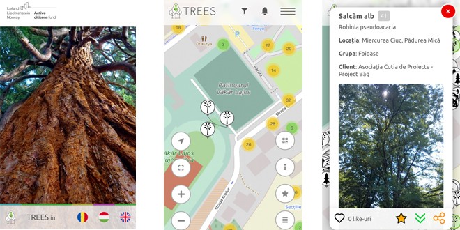 A fost finalizată aplicaţia mobilă dedicată arborilor şi gestionării spaţiilor verzi din Miercurea-Ciuc