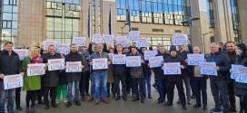 Zeci de reprezentanți ai PES Activists România din țară şi din diaspora au manifestat pentru aderarea României la Spațiul Schengen