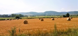 În perioada 2023-2027, aproximativ 15,9 miliarde de euro sunt disponibile pentru subvenţiile agricole acordate în România
