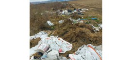 Bărbat amendat cu 10.000 de lei de Primăria Sânsimion pentru depozitarea ilegală a deşeurilor