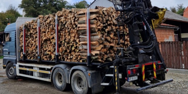 Firmă care deţinea peste 65 metri cubi de lemn fără documente de provenienţă, amendată cu 10.000 lei