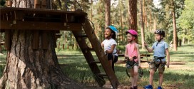 Beneficiile activităților în aer liber pentru copilul tău