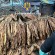 Peste 170 kg de tutun frunze, descoperite în urma unei percheziții efectuată în comuna Șimonești