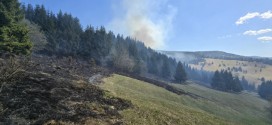 Incendiu de vegetație uscată și pășune împădurită în Armășeni (imagini video)