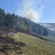 Incendiu de vegetație uscată și pășune împădurită în Armășeni (imagini video)