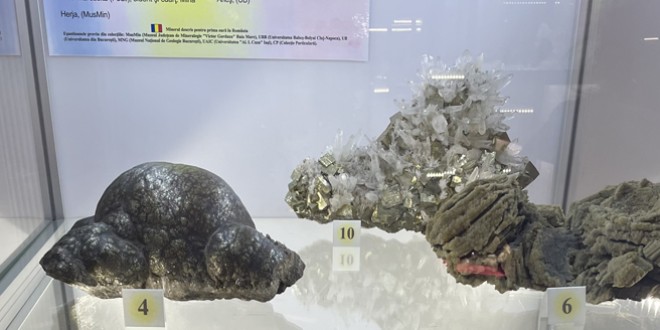 Interes crescut pentru expoziţia cu „Zestrea Minerală a României”, găzduită de Muzeul Oltului şi Mureşului Superior