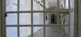 Proiect desfăşurat la Penitenciarul Miercurea-Ciuc: <i>„Dependent de speranţă – închisoarea nu este  un capăt de drum”</i>