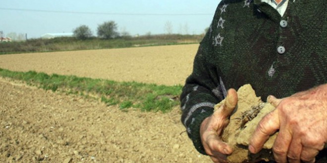 Deficitul de apă din sol afectează grav culturile agricole