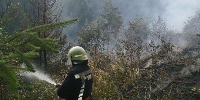 Incendiul de vegetație uscată și resturi de exploatație forestieră lângă Gheorgheni a fost lichidat
